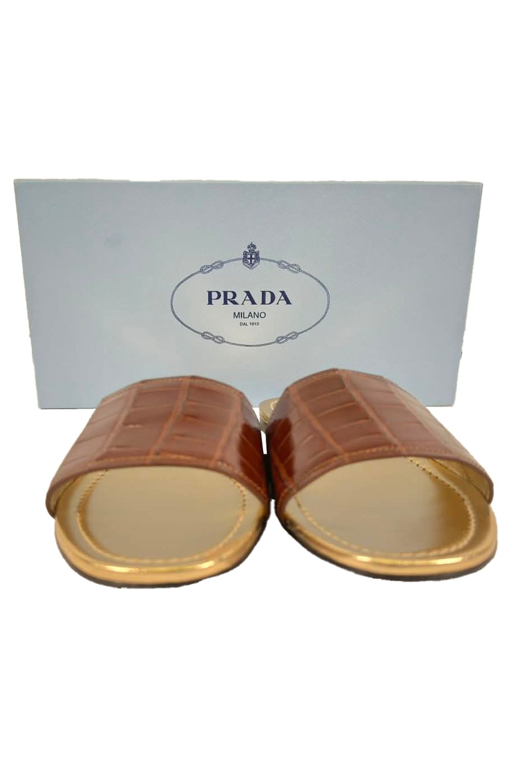 Prada Croc-Embossed Slide Flat Sandals in Brown Leather
